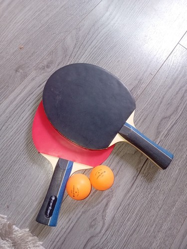 Carlton table tennis team - team, pro