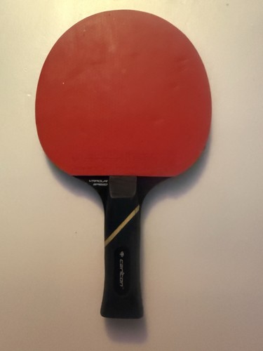 Carlton table tennis - table, bat